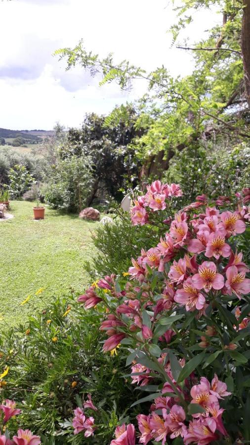 Agriturismo Le Colline Di Capalbio Exterior photo